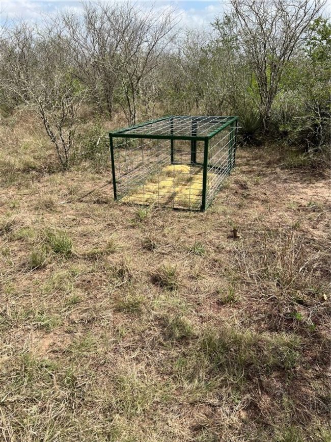 0 Blackbrush Spur, Home with 0 bedrooms, 0 bathrooms and null parking in George West TX | Image 4