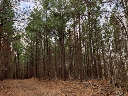 205 Madison St, Fredericktown, MO, 63645-7509 | Card Image