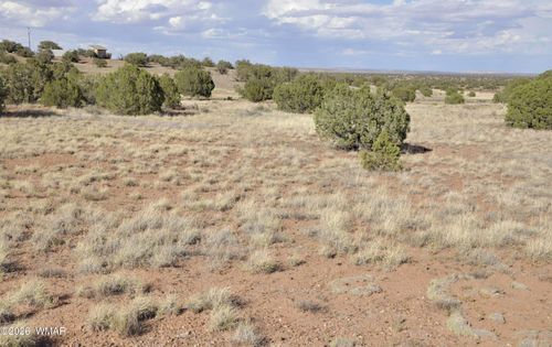 10 N9228, Concho, AZ, 85924 | Card Image