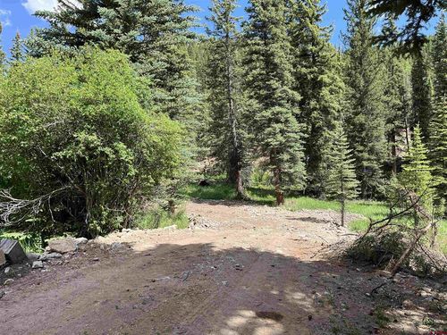 TBD 11th St, Pitkin, CO, 81241 | Card Image