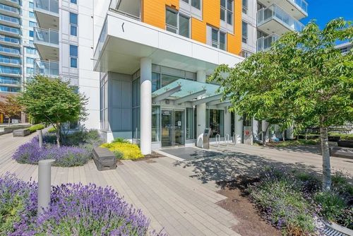 {{alt}} | Card Image