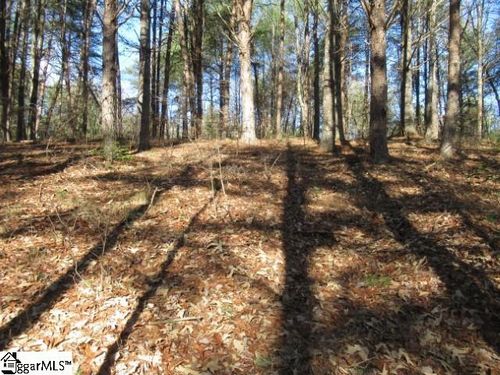 lot-10-sweet-shrub-court-0 Sweetshrub Ct, Sunset, SC, 29685 | Card Image