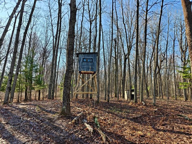 10830 3 Mile Rd, Home with 0 bedrooms, 0 bathrooms and null parking in Branch MI | Image 44