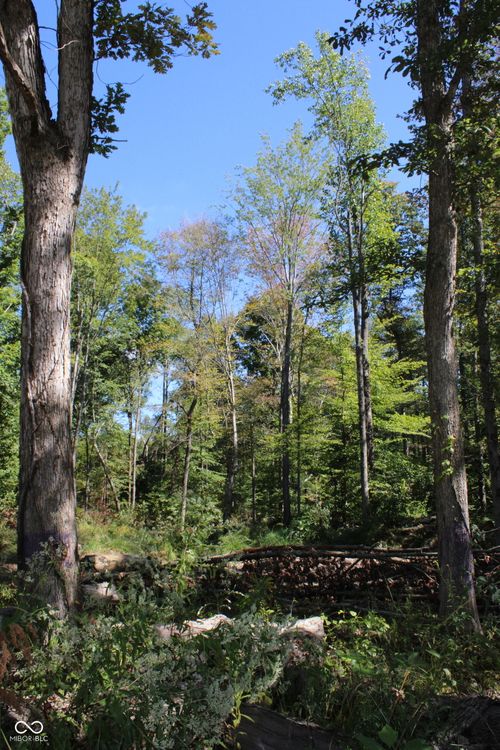 Tract 10 7530 W Private Road 775 S, Commiskey, IN, 47227 | Card Image