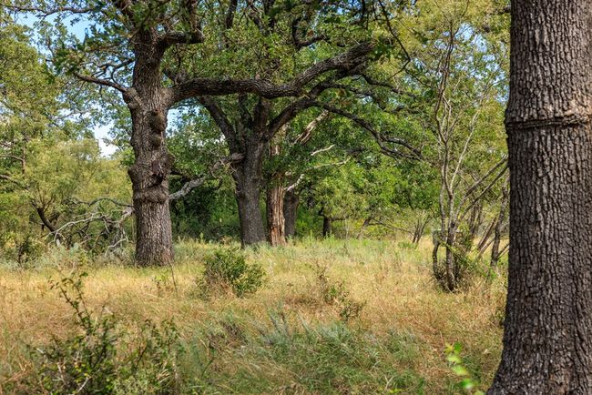 5 - 0B Ranch Road 1323, Home with 0 bedrooms, 0 bathrooms and null parking in Willow City TX | Image 14