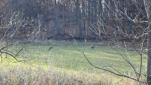 Lt2 S Clark Street, MAYVILLE, WI, 53050 | Card Image