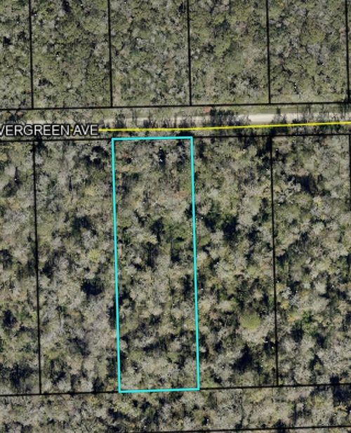 3655 Evergreen Ave, BUNNELL, FL, 32110 | Card Image