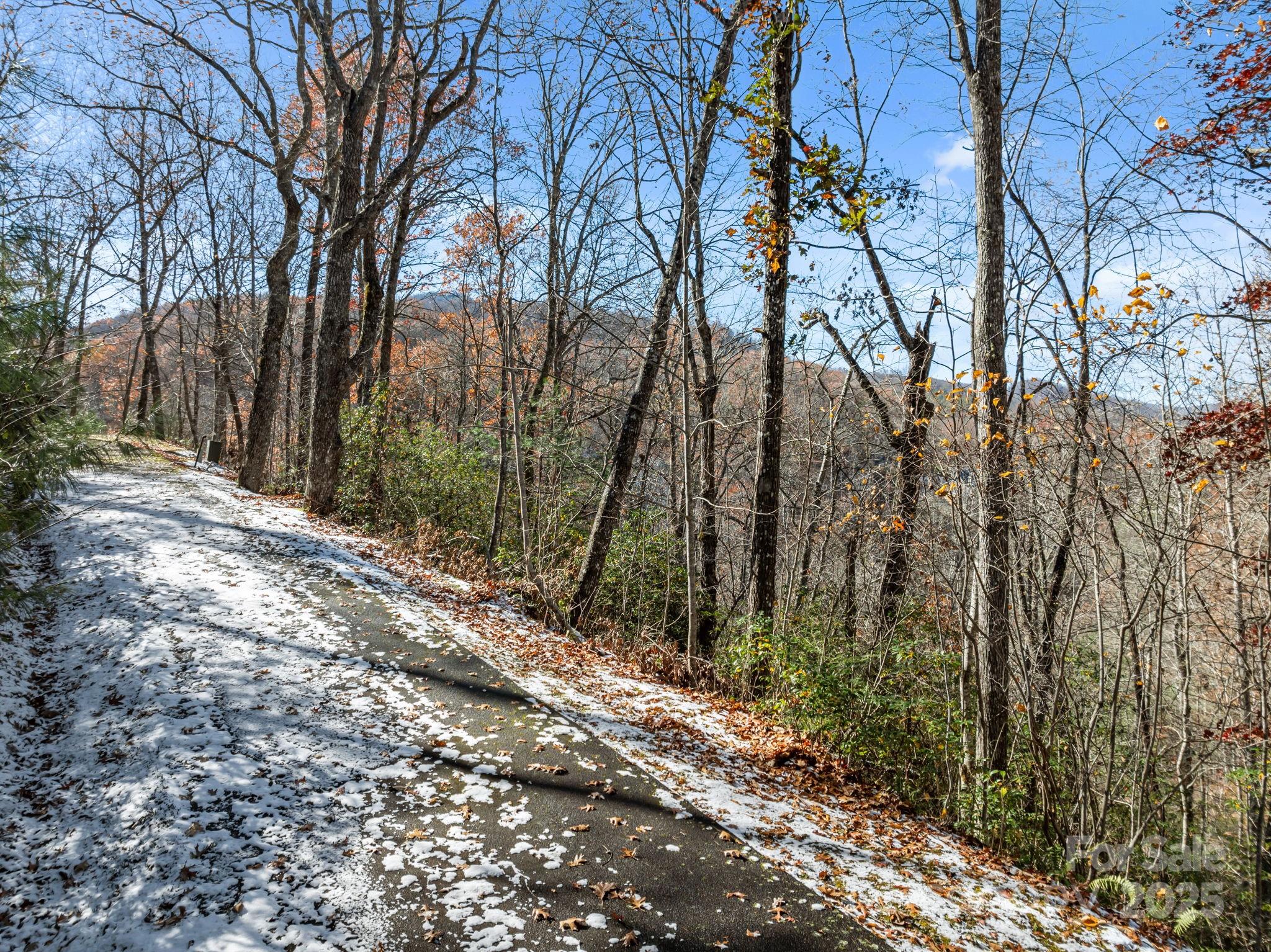 Land in Tuckasegee 4