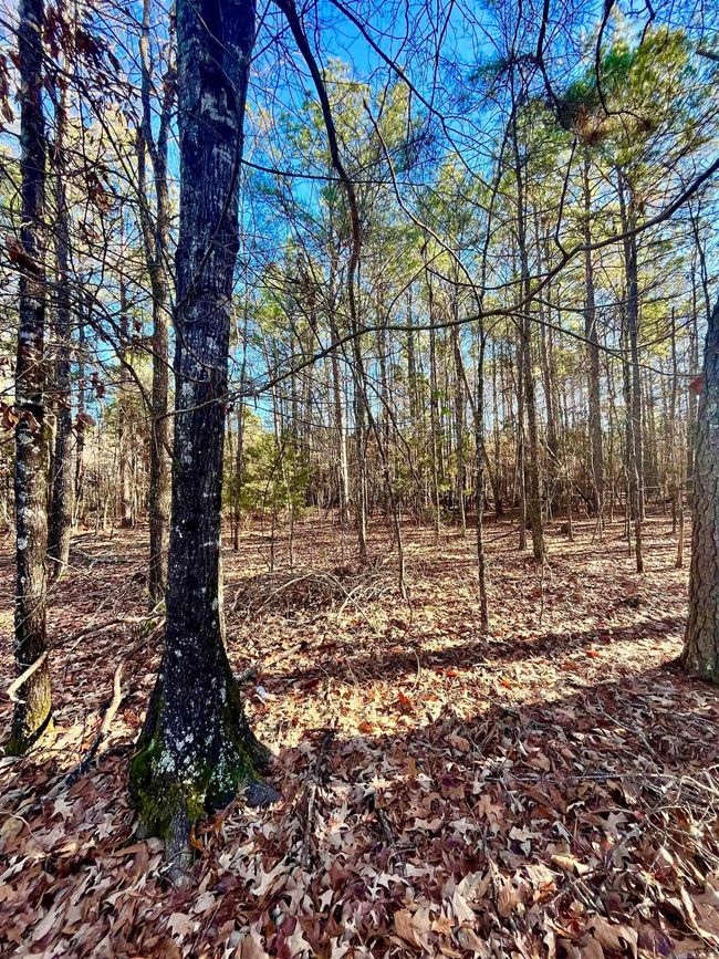 62 Dallas 409, Home with 0 bedrooms, 0 bathrooms and null parking in Leola AR | Image 8