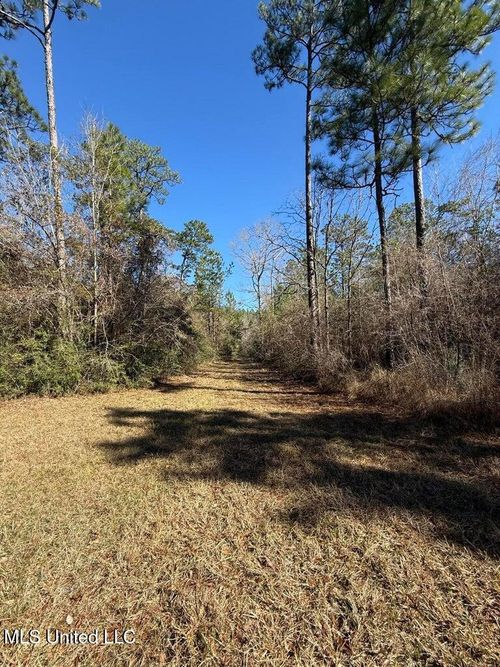 113 +/- Acres Hwy 98, Columbia, MS, 39429 | Card Image
