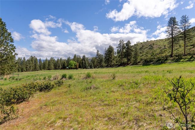 Gently slopped property leads you to the river! | Image 12