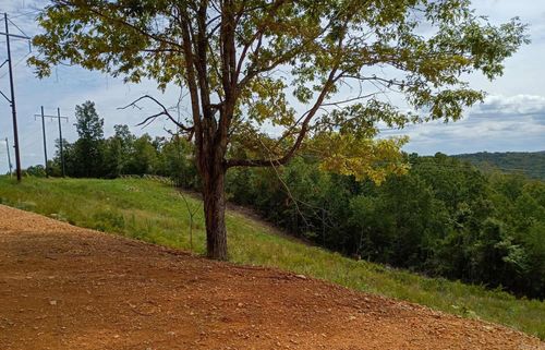 2556 Oakland Rd, Clinton, AR, 72031 | Card Image