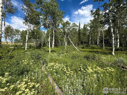 0 Dewclaw Rd, Red Feather Lakes, CO, 80545 | Card Image