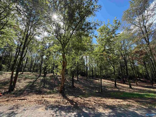 #12B County Road 1123, Vinemont, AL, 35179 | Card Image