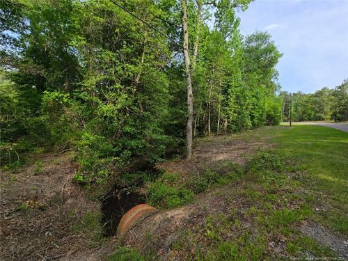 Lot 45-47 Cabins Creek Rd, Vass, NC, 28394 | Card Image