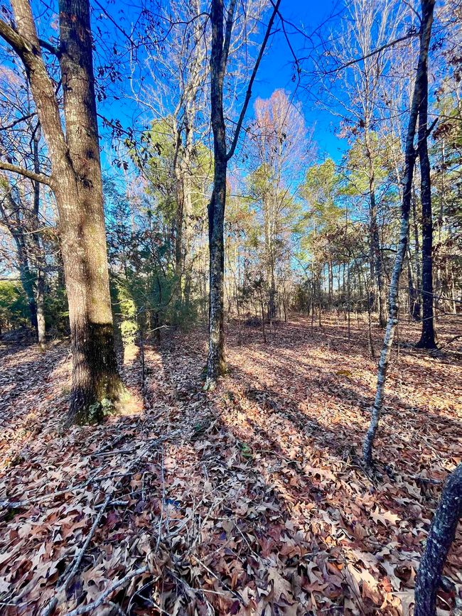 62 Dallas 409, Home with 0 bedrooms, 0 bathrooms and null parking in Leola AR | Image 5