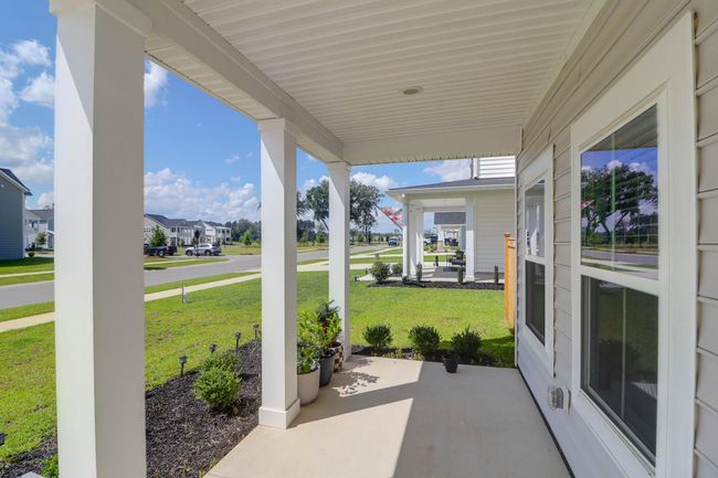 1888 Nola -Tidalcreekphoto- (46) | Image 47