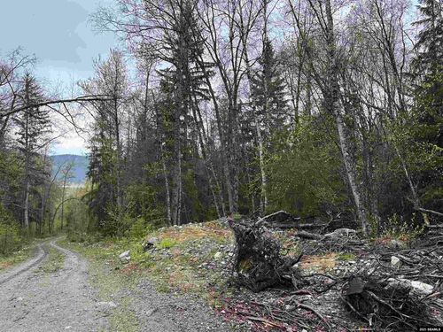 nhn Haines Hwy, Haines, AK, 99827 | Card Image