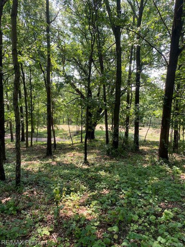 6 Sleaford Parcel 6   2.1 Acres Road, Home with 0 bedrooms, 0 bathrooms and null parking in Howell Township MI | Image 24