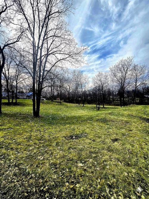 TBD Mcpherson Street, Stanton, MI, 48888 | Card Image