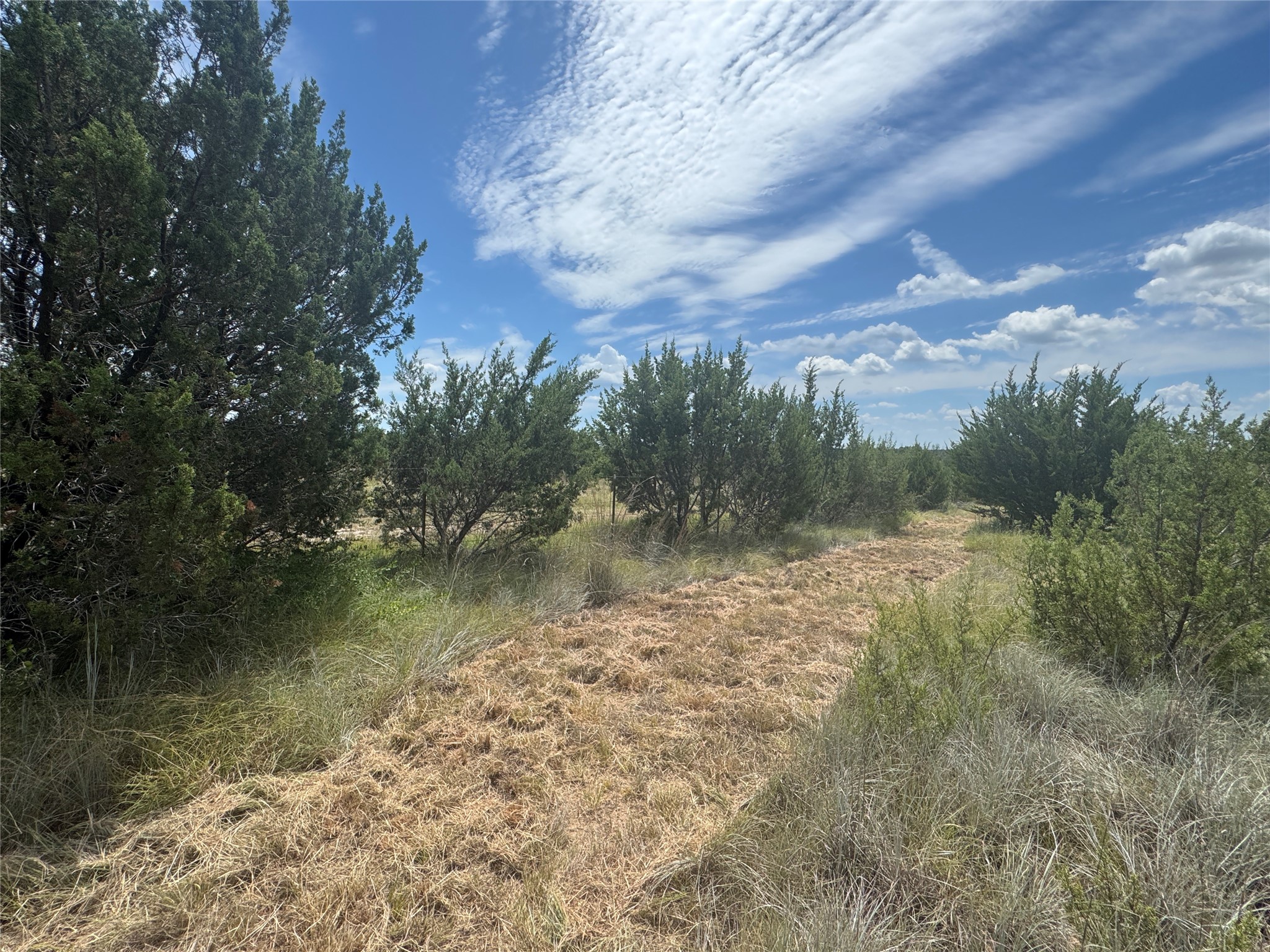 Land in Lipan 2