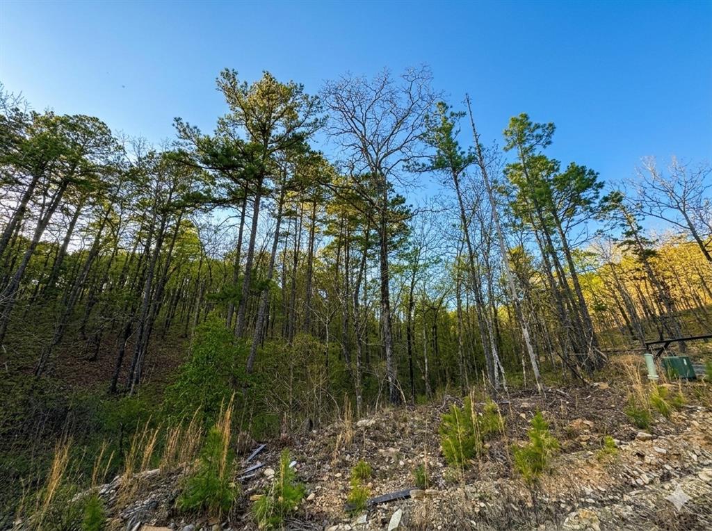 Land in Broken Bow 3