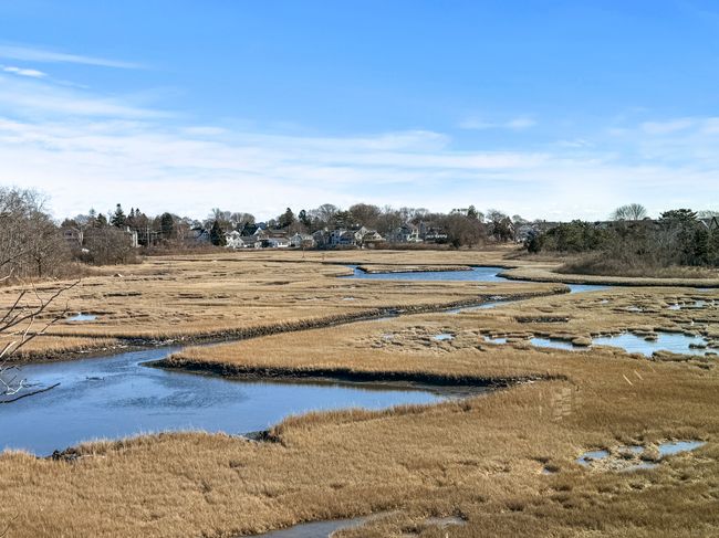 Eastern view to the marsh | Image 4