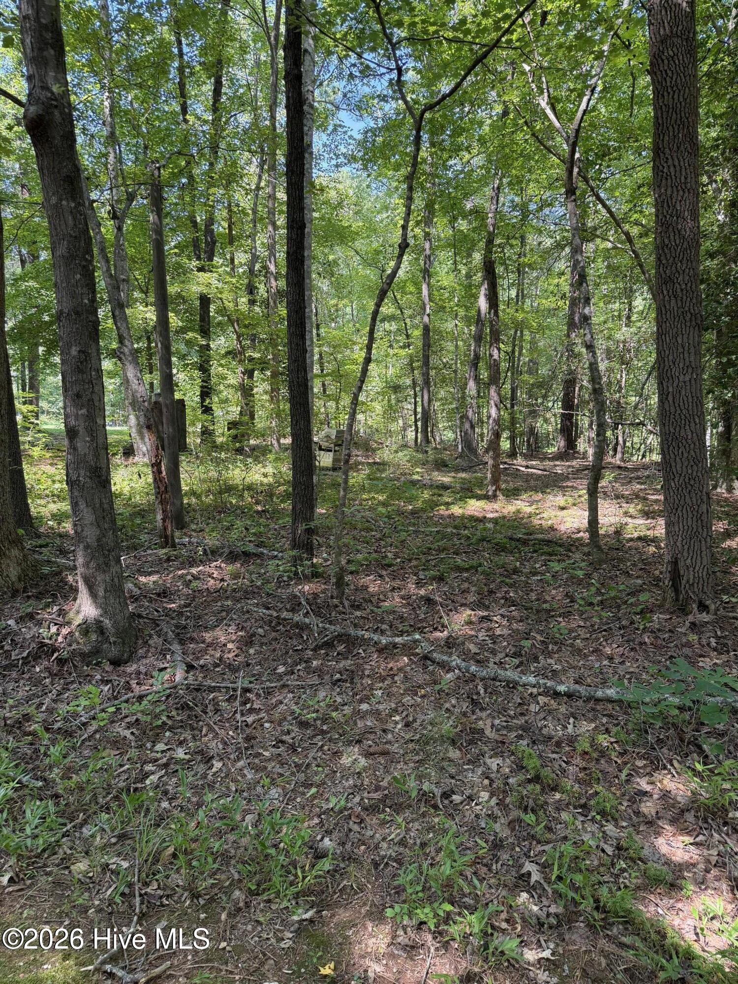 Land in Louisburg