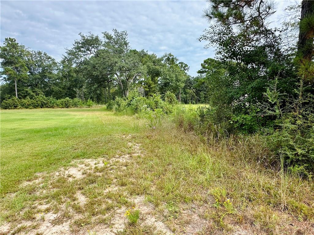 Land in Mobile 5
