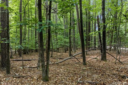 Lot 118 Oak Run, Clarksville, VA, 23927 | Card Image