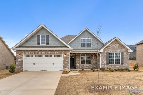 214 White Horse Way, Toney, AL, 35773-4001 | Card Image