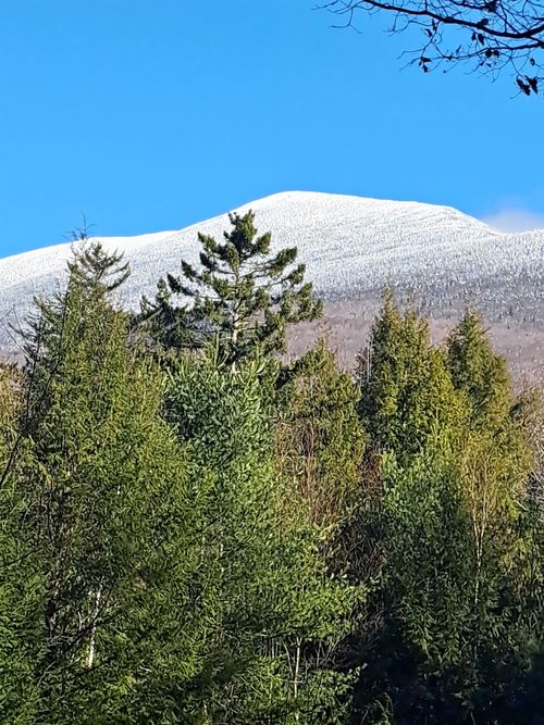 00 Stimson Rd, Warren, NH, 03279 | Card Image