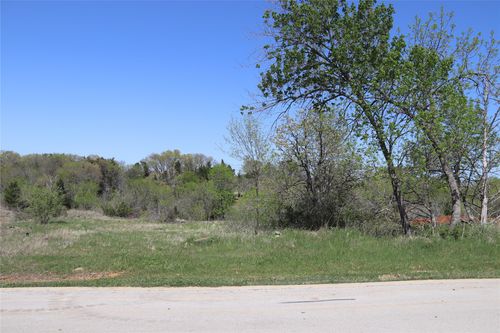 357 Palmilla Dr, Gordonville, TX, 76245-1411 | Card Image