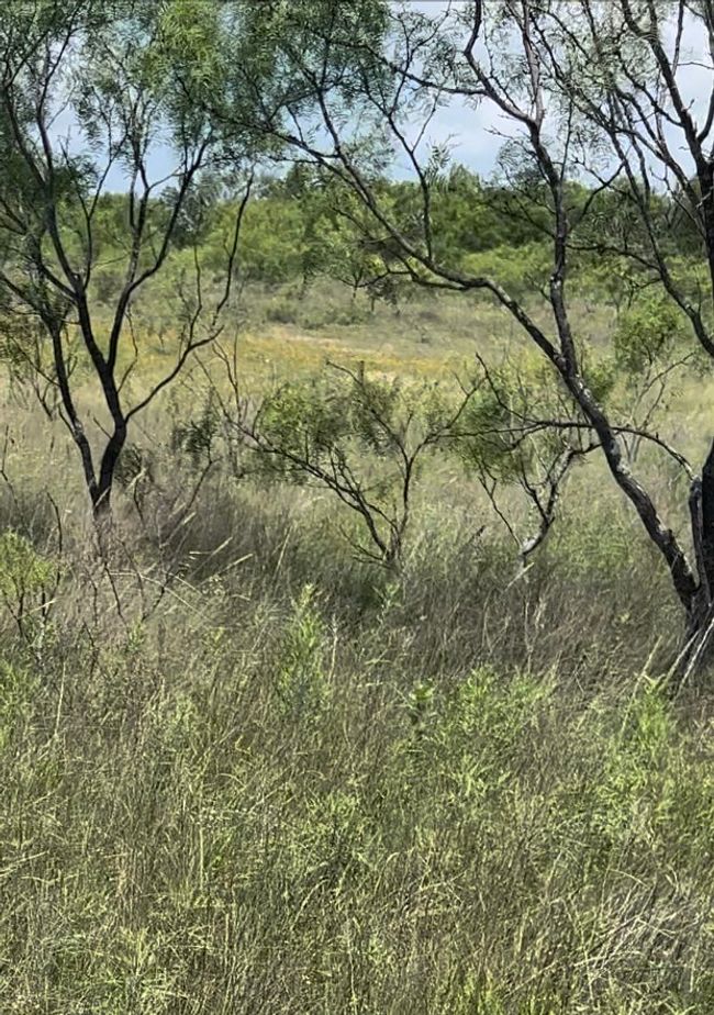 General View | Image 10