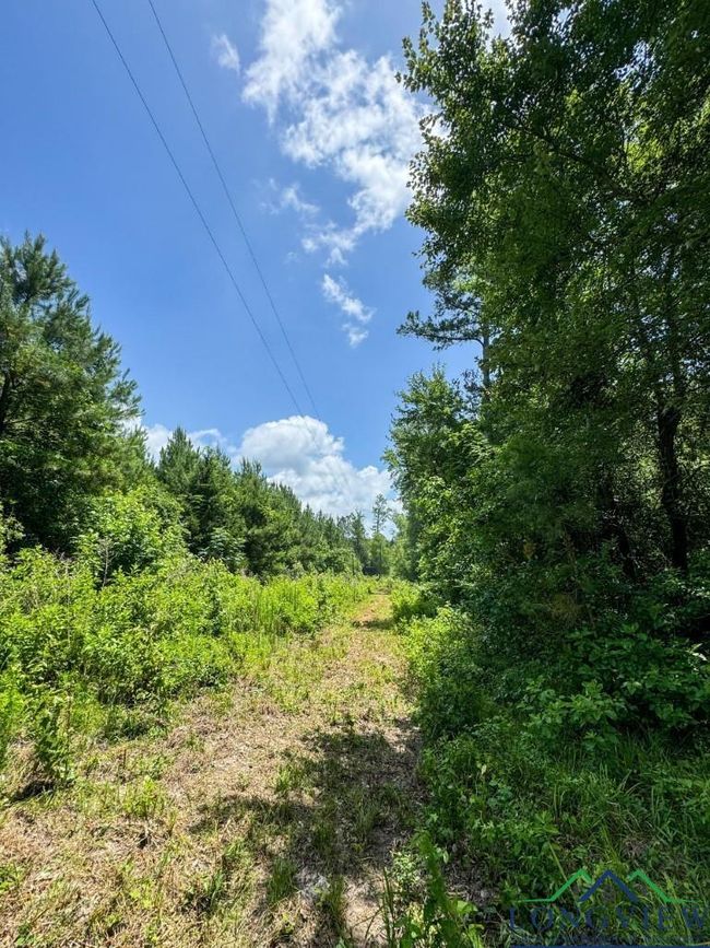 0000 Cr 1782, Home with 0 bedrooms, 0 bathrooms and null parking in Linden TX | Image 6