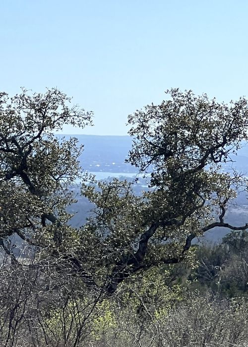 Lot 25 Southview Court, Kingsland, TX, 78639 | Card Image