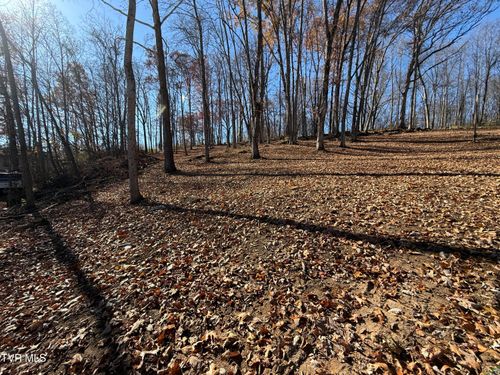 0 Milligan Hwy, Johnson City, TN, 37601 | Card Image