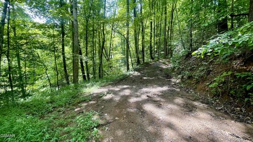 1304 Balsam Cir, Sevierville, TN, 37876 | Card Image