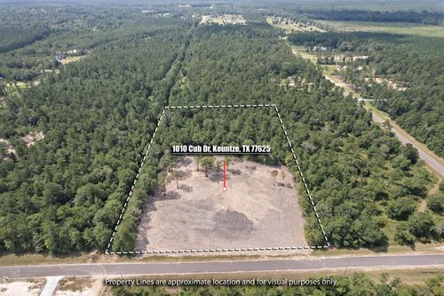1010 Cub Dr, Kountze, TX, 77625 | Card Image