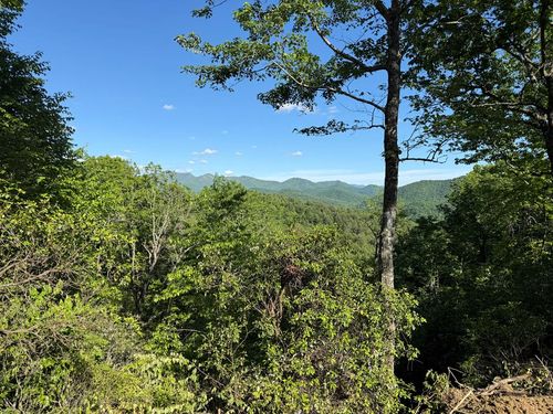 294 Shearer Ridge, Murphy, NC, 28906 | Card Image