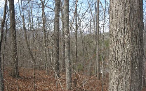 LOT25 Scarlett Way, Young Harris, GA, 30582 | Card Image