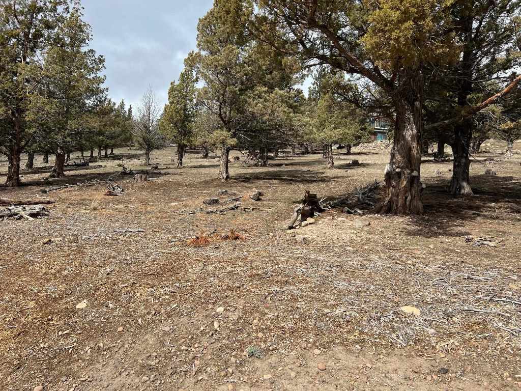 Land in Weed