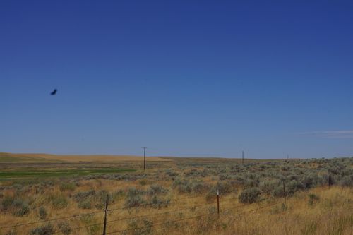 NKA Coal Springs Rd, Harrington, WA, 99134 | Card Image