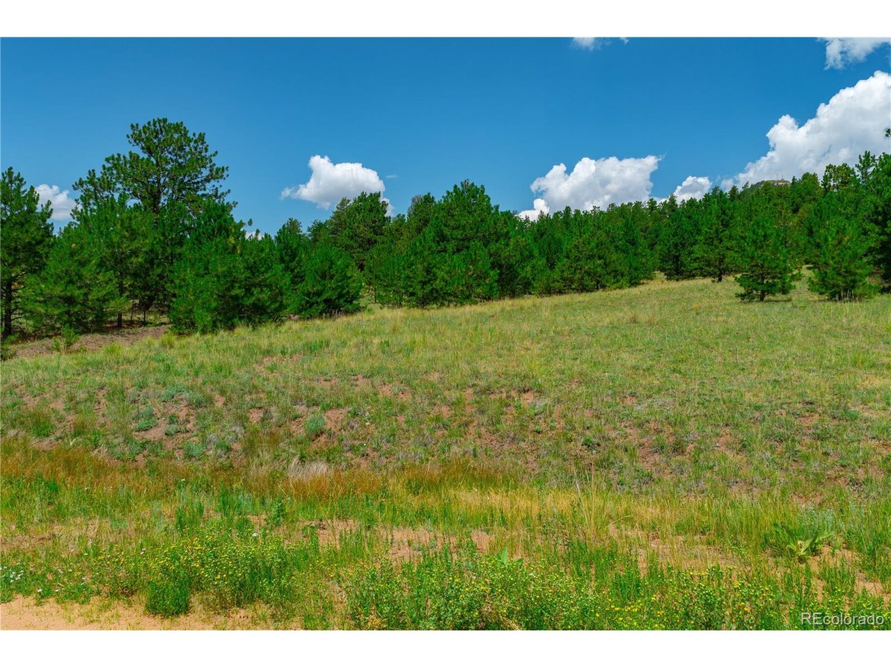 Land in Cripple Creek 2