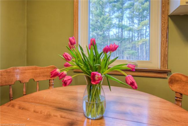 1327 Queen St, House other with 4 bedrooms, 1 bathrooms and 12 parking in New Dundee ON | Image 21