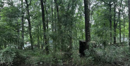 TBD Mudd St, Coldspring, TX, 77331 | Card Image