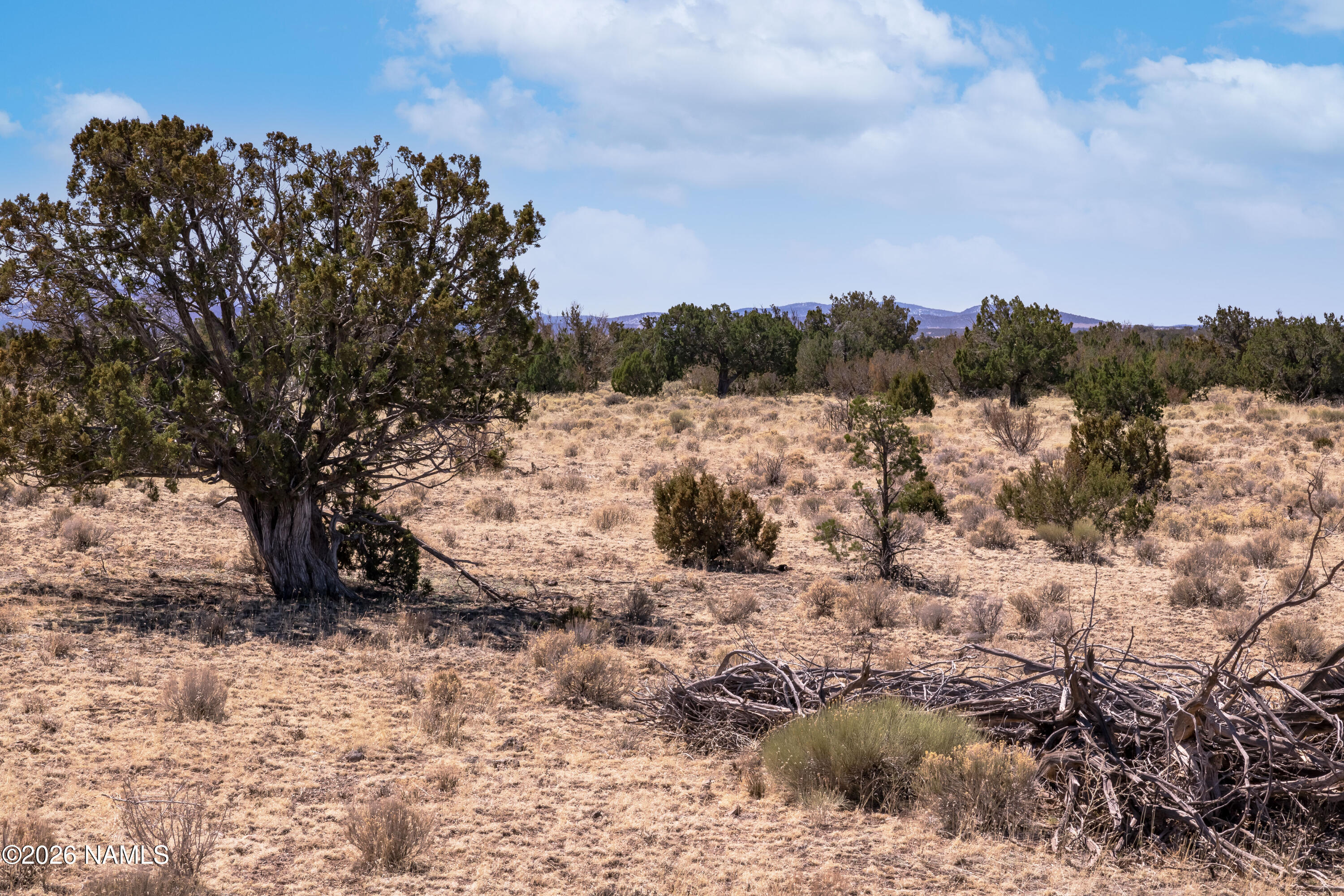 Land in Seligman