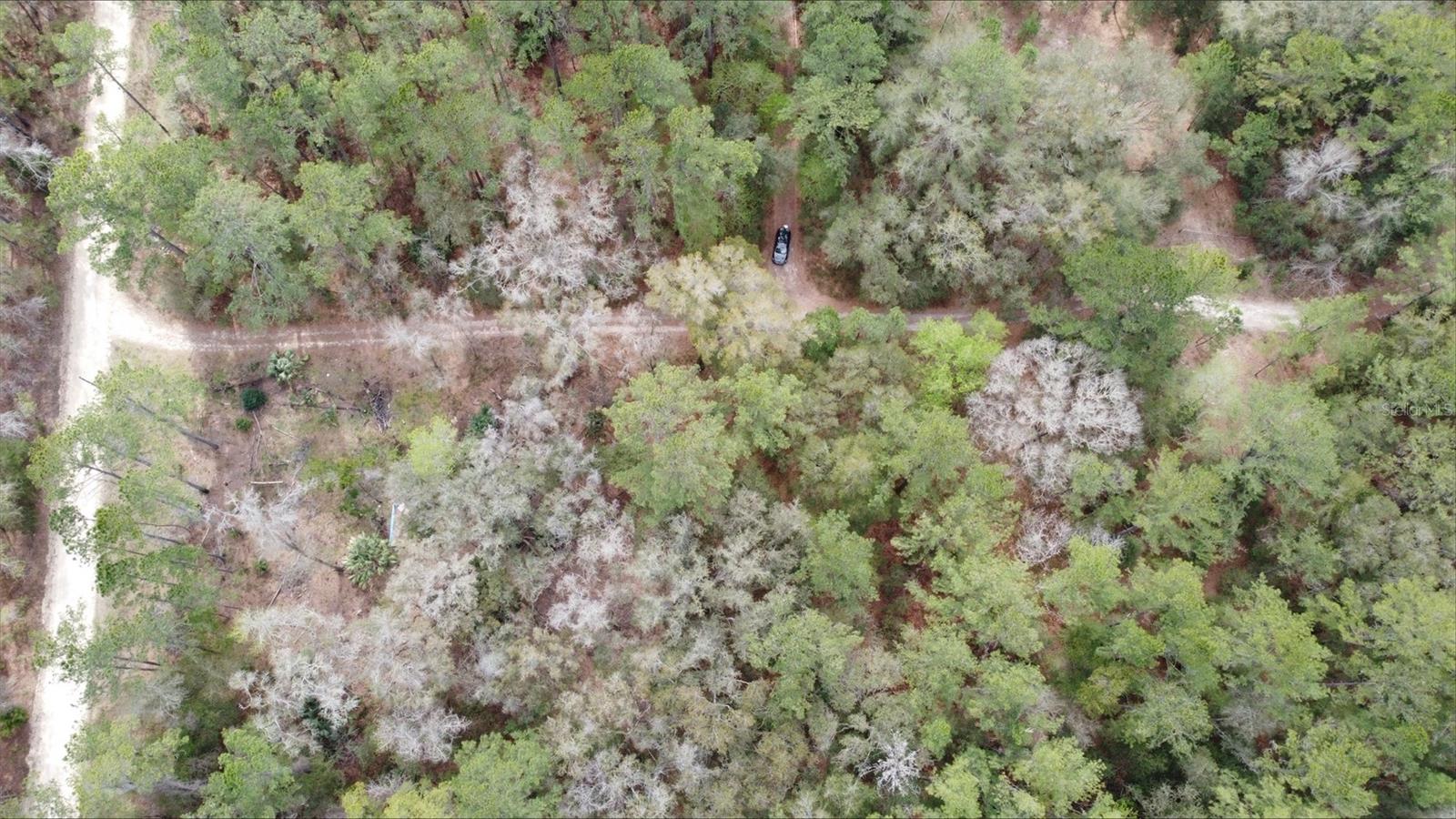 Land in OCALA 4