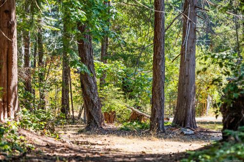 3250 Gunpowder Trail, Hornby Island, BC, V0R1Z0 | Card Image