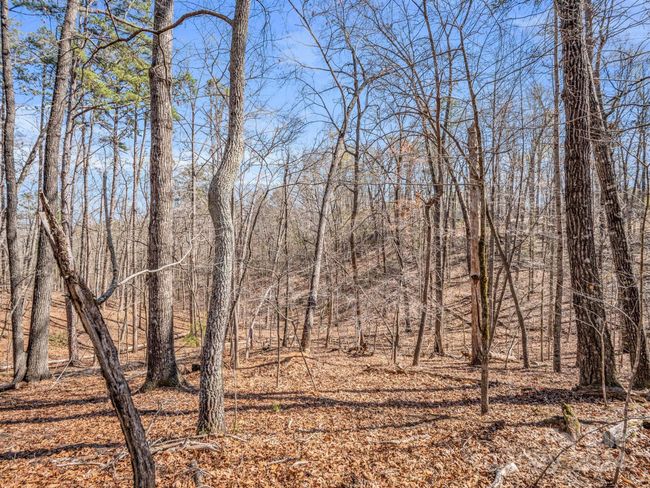 21-24-AND-25 - 000 Forester Ln, Home with 0 bedrooms, 0 bathrooms and null parking in Mill Spring NC | Image 19